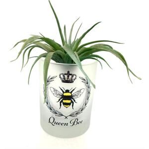 QUEEN Bee Frosted Cup - Bumblebee Holder